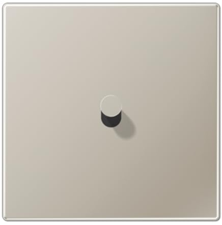 Placa 1x1 pal. cono 1912, color acero (referencia: JUNG ES12-0K1)
