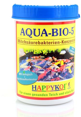 1 litre AQUA Bio 5 bactéries lactiques en poudre, bactéries filtrantes probiotiques pour étang, étang et bassin de jardin, soutient la nitrification, soulage les algues et les boues