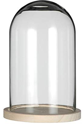 NaDeco Glasdom mittel mit Holzfuß Ø14cm Höhe 21cm Glas Dome Glashaube Glasstürze Glassturz Glaskuppel Glasglocke Dekoglas Glasdeko