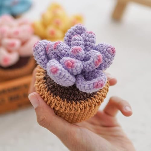 THERESE Pianta grassa in feltro, pianta grassa intrecciata a mano, in feltro, bomboniera, decorazione per la casa di cactus, regalo per lei, decorazione da scrivania (viola)