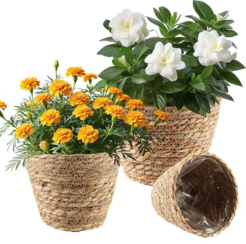 LDXDRU 3 Pièces Panier Osier Plante, Cache Pot Osier avec Doublure PE, Paniers Ronds Tressés 17/20/22,5 Cm pour Fleurs, Herbes, Décoration Intérieure Et Balcon