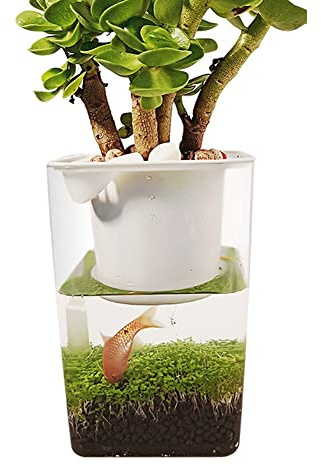 Jomewory Pecera acuapónica | Tanque de Peces de Acuario pequeño,Sistema de Cultivo hidropónico de jardín Interior, Soporte de Cultivo de Plantas de Tanque de Peces acuapónico de Escritorio