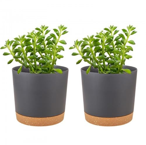 Kioiner 2 Pcs Pot de Fleurs, 11cm Pot De Fleurs pour Intérieur, Pots de Plantes en Plastique avec Trous de Drainage et Base Amovible, pour Rebord de Fenêtre, Maison, Jardin (Noir)
