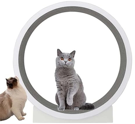 DPLXFPP Katzen-Übungsrad Für Hauskatzen, Große, Mittelgroße Und Kleine Katzen-Übungsräder, Laufrad Für Katzen/Lauftraining Für Katzen/Gewichtsverlustgerät Für Katzen