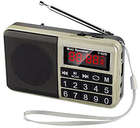 SW/FM/AM/MP3/USB/SD/TF Portable Radio, Outdoor Digital Radio Rechargeable with Speaker, Large Button and Large Display, Stores Stations Automatically(Gold)