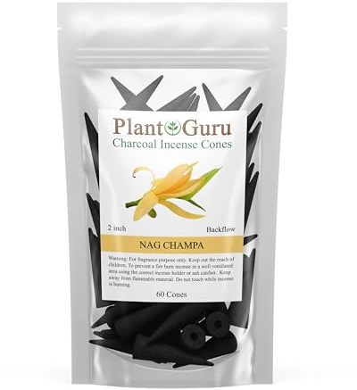 Nag Champa Charcoal Incense Cones 2 BACKFLOW - 60 Pack Bulk - Natural Scented Cones Handmade Hand Dipped