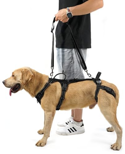 COODEO Tragehilfe Hund Hinterbeine, Hunde Hebegeschirr mit Schultergurt, Hundelift Gehhilfe für alte Hunde, Reha-Geschirr bei Arthritis, Gelenkverletzung, OP & Treppenhilfe (Schwarz, XL)