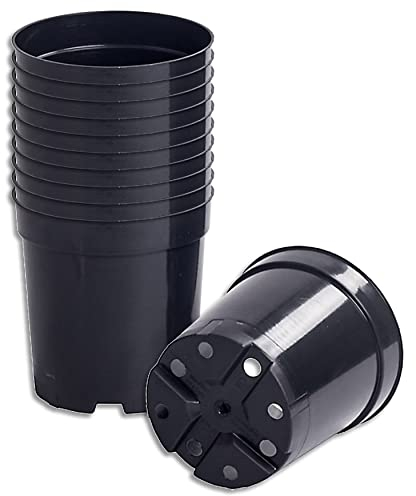 Wohnkult 10 x Anzuchttopf Pflanztopf 2 L schwarz Ø 14 cm x 15 cm Blumentopf Blumenkübel Pflanztöpfe Blumen Saat
