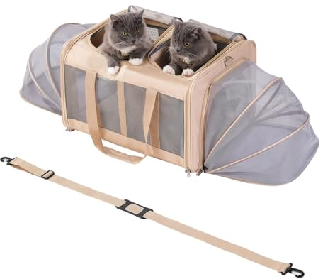 Pawlen XXL Katzentransportbox für 2 Katzen/Kleine Hunde bis 15kg | Faltbar & Erweiterbar | Mit Abnehmbarem Kissen & Sicherheitsgurten (53x43x33cm, Beige)