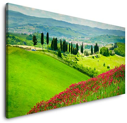 Berg mit roten Blumen 120x 60cm Panorama Leinwand Bild XXL Format Wandbilder Wohnzimmer Wohnung Deko Kunstdrucke