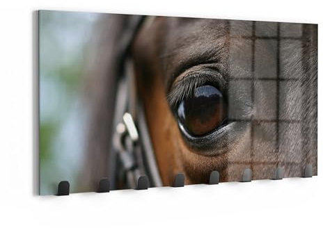 DEQORI Wandgarderobe Glas & Metall | Motiv Blick der Verbundenheit | 60x30 cm | Design Haken-Leiste modern | Garderoben-Paneel für Flur, Wohnzimmer & Schlafzimmer | magnetisch & beschreibbar