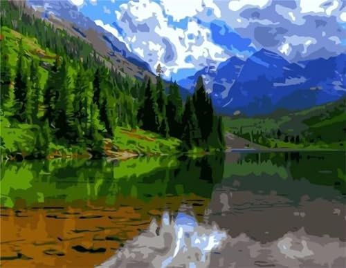 Aimaor Malen Nach Zahlen Erwachsene,Schöne Wälder Paint by Numbers Adult Bastelset Malen-Nach-Zahlen Kinder Anfänger Leinwand Kreativ Set DIY Set Malen nach Zahlen（DIY Frame） 50x65cm