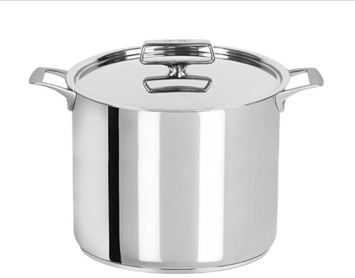 Cristel Castel'Pro - Olla de acero inoxidable con asas fijas y tapa de acero inoxidable, capacidad de 9 cuartos de galón, fabricada en Francia, construcción de 3 capas