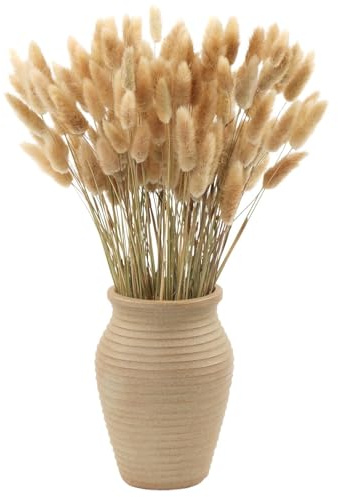 MIHUAGE Dried Bunny Tail Grass, 120PCS-17inch Rabbit Tail Pampas Grass Natural Dry Lagurus ovatus for Boho Home Wedding Party Decor Dried Flowers Arrangements（Natural Color）