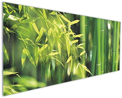 Wallario Küchenrückwand aus Glas 125 x 50 cm, Motiv: Bambuswald mit grünen Bambuspflanzen | Spritzschutz abwischbar & pflegeleicht
