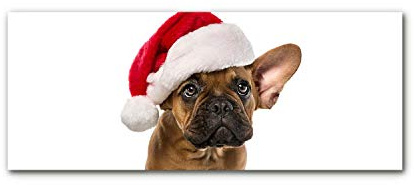 Tulup Acrylglas Druck Weinachten - 125x50cm - Wandkunst - Plexiglas Bild Deko Glas - Wandbild Kunststoff - Dekorative für Küche & Wohnzimmer - Bulldog Hundeweihnachts