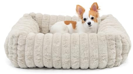 Wallace & Jones | Hundebett Mary - Sand | S | ca. 51 x 46 x 15 cm | weicher Schlafplatz, Breitcord Optik, Hundekörbchen