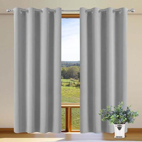XUEHMIN Tende Soggiorno 1 Pezzi 164 x 171 cm con Occhielli/Poliestere Moderne Eleganti Tende Fonoassorbenti per Interni Finestre con Anelli, Grigio Chiaro
