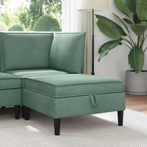 VIHHQGC Moderno taburete de terciopelo para sofá con espacio de almacenamiento, práctico taburete con compartimentos integrados para revistas y mantas, cojín de asiento relleno de espuma, marco de