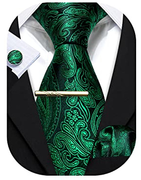 Barry.Wang Herren Krawatte Einfarbig Paisley Uni Schlips Satin Mit Einstecktuch Hochzeit Krawattenset