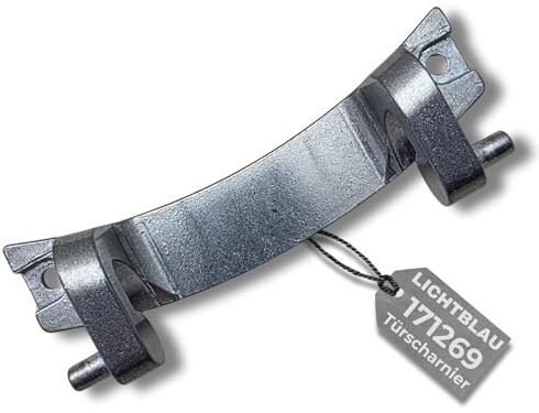 LICHTBLAU Charnière de porte en métal 171269 pour hublot Bosch Siemens machine à laver 00171269