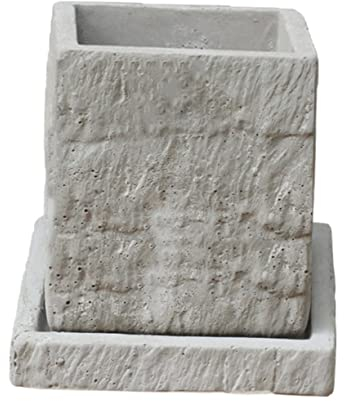 Yardenfun Blumentopf Mit Untersetzer Zement Sukkulententopf Kreativer Pflanztopf Für Innen Und Außenbereich Modernes Design Für Zimmerpflanzen Robustes Und Langlebiges Material