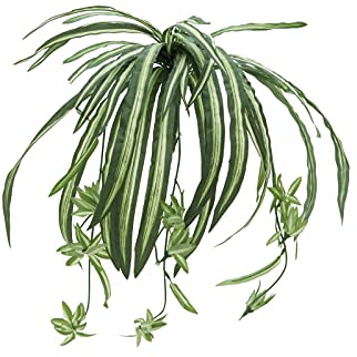 EUROPALMS Lirio verde artificial, 60 cm