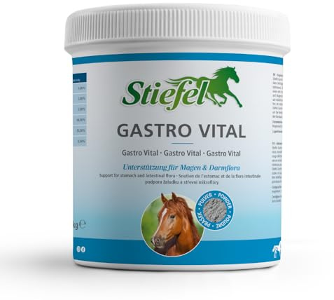 Stiefel Gastro Vital Ergänzungsfutter für Pferde zur Unterstützung von Magen & Darm Ergänzungsfuttermittel mit Algenkalk, Magnesiumoxid, Calcium & Magnesium 1 kg Dose