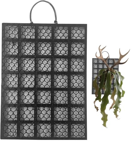 Placa para Helecho Cuerno De Alce - Soporte para Helechos para Pared | Decoración Hogar Montaje Orquídeas Platycerium para Jardín Interiores Exteriores Oficinas Dormitorios