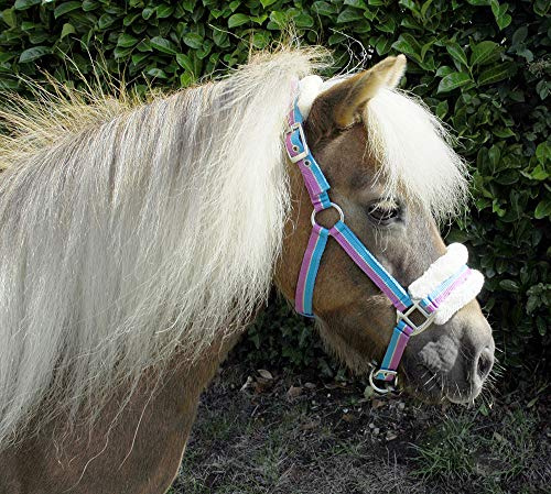 Rhinegold Halfter für kleine Ponys, gestreift, mit Fellbesatz, Mini-Shetty, türkisfarbene Streifen