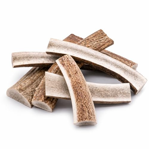 mascota vital - Hirschgeweih - 100% Hirschgeweih - Ideal für die Zahnpflege - 100% Natürlich - Geweih - Kauknochen - Hundespielzeug - Geweih vom Rothirsch (XXL (160-250g), halbiert)