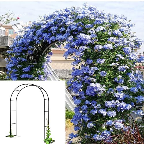 Treillis d'arche de jardin pour plantes grimpantes et fleurs 120 x 220 cm, construction en acier inoxydable, idéal pour la décoration de mariage, les fêtes de mariage et les événements en plein air