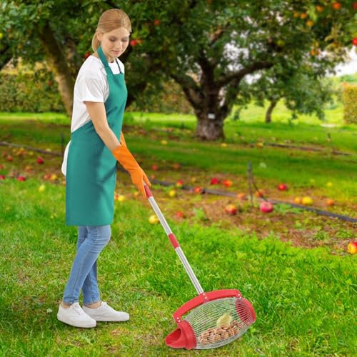 TIXBYGO Obstsammler & Nusssammler mit Teleskopstange & seitlicher Öffnung, Edelstähle Rollsammler für Walnüsse, Äpfel, Eicheln, Kastanien & mehr, Kugelpflücker für Golf- und Tennisbälle