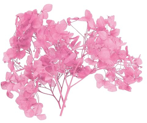 PATIKIL 10g Fiore Di Ortensia Essiccato Fiori Pressati Naturali Rosa Pink | Petali Di Ortensia Reali, Per DIY Resina Artigianato Carte Regalo Floreali Decorazione Candele