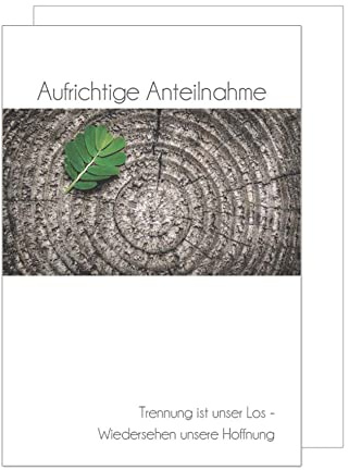 Edition Seidel Premium Trauerkarte mit Umschlag. Beileidskarte Trauer Karte mit Spruch aufrichtige Anteilnahme Baumstamm herzliches Beileid Abschied Teilnahme Mitgefühl (T1018 SW022)