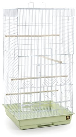 Prevue Pet Products SPECONO1818H-SG Tall Tiel Cage, Sage Green