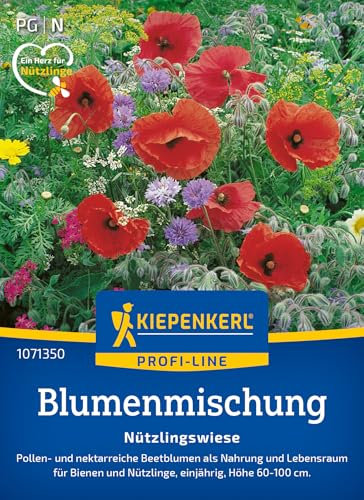 Kiepenkerl Profi-Line Blumensamen-Mischung Nützlingswiese 1071350 - Pollenreiche, Bienenfreundliche Blumenmischung - Wildblumensamen, Blumenwiese