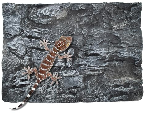 MUYG Reptile Tank Background Board Rock Terrarium Cork Background Board 3D Wall Backdrop Aquarium DéCor Backgrounds Amphibian Habitat Decoration for Lizards Leopard Gecko Bearded Dragons Turtle