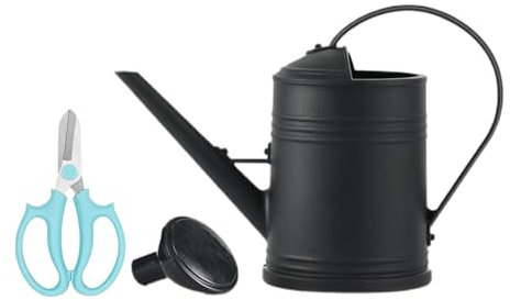 Milageto Regadera de 2L, Herramienta de jardinería, Boquilla extraíble, regadera Moderna de Boca Ancha, fácil de Usar para Plantas de Interior y Exterior, Negro
