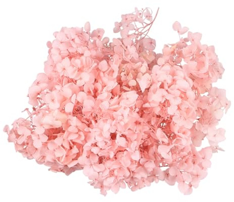 TOYANDONA Foglie di Ortensia Secche Naturali Colore Rosa Pesca Fiori Conservati Eterni per Decorazioni DIY Articoli per Bomboniere Compleanni e Matrimoni