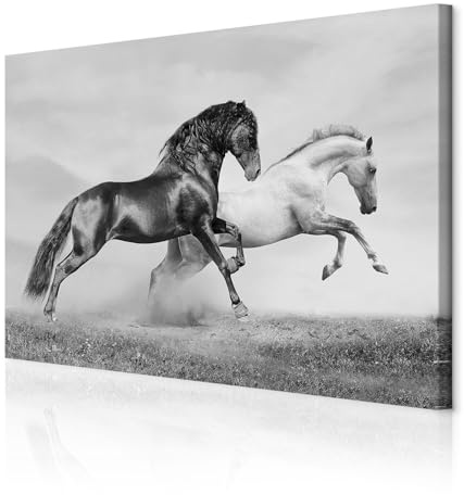 decomonkey Bilder Pferde 120x80 cm 1 Teilig Leinwandbilder Wandbild tiere | Strukturleinwand, Holzkeilrahmen, Bild auf Leinwand, Kunstdruck, Wanddeko, Wohnzimmer, Wanddekoration, schwarz-weiß
