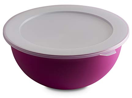 Omada Design Tazòn de 3.5 lt + tapa, diámetro 26 cm, blanco por dentro y coloreado por fuera, en polipropileno y antibacteriano, Sanaliving