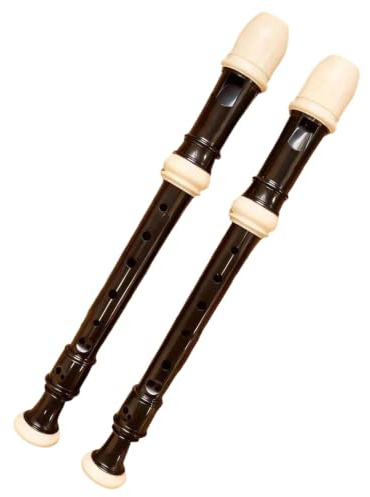Blockflöjt High Pitched Blockflöjt För Vuxna Att Lära Sig Spela Instrument Av Typ B
