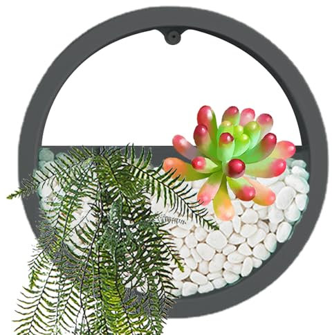 ROCKIA Runder Wand-Pflanzgefäß, transparenter runder Blumentopf – Wandvase, Sukkulenten-Übertopf, runder Blumentopf, Vase, Dekoration, Behälterhalter für Sukkulenten, Luftpflanzen