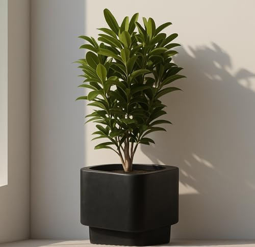 Olly & Rose Fibretone Extra Large Plant Pot 45cm - Black Raised Rounded Rectangle Planter for Indoors and Outdoors - Mora Collection Flower Pot