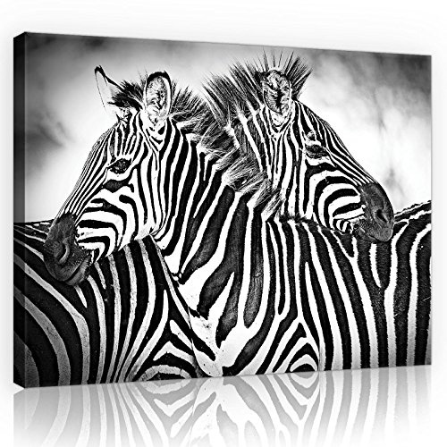 Forwall Leinwand Bilder 100x75 cm | Zebra, Leinwandbilder, Bild auf leinwand, Format: 100x75 cm (BxH) - einteilig auf Canvas Leinwand. Das Leinwand