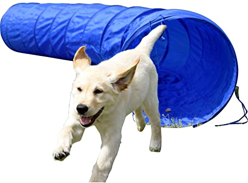 dobar® 50809 Agility Tunnel Gr. L - Agility-Tunnel für Hunde - 3 m Tunnel zum Trainieren - Geschicklichkeits-Training mit Kunststofftunnel - Ø 50 cm - Länge: 300 cm - Blau