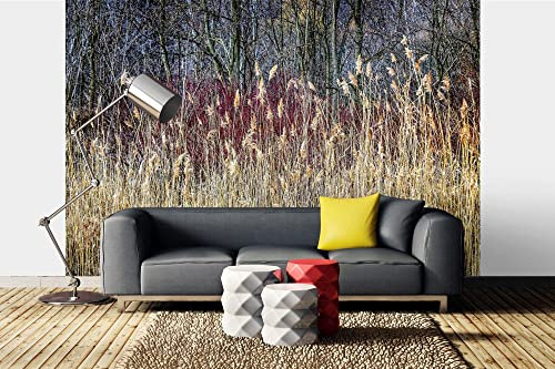 Vlies Fototapete SCHILF IM WINTER 375 x 250 cm (inkl. Kleister) - Vlies Tapete, Wandtapete, Wandbilder - Tapete für Wohnzimmer Schlafzimmer, Büro, Küche - Montagefertig