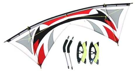 Gralara Lenkdrachen Vierleiner Drache Triangle Kite Großformat Kitesport Outdoor Aktivität mit Leichtem Schirmtuch Und Karbonfaserwelle für Erwachsene Kinder, Grau