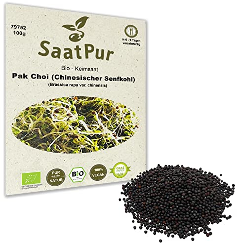 100 g BIO Keimsprossen Pak Choi (Chinesicher Senfkohl) Samen für die Sprossenanzucht Sprossen Microgreen Mikrogrün